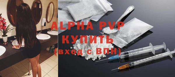 a pvp Бородино